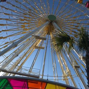 Meet your Posher, Brooklyn